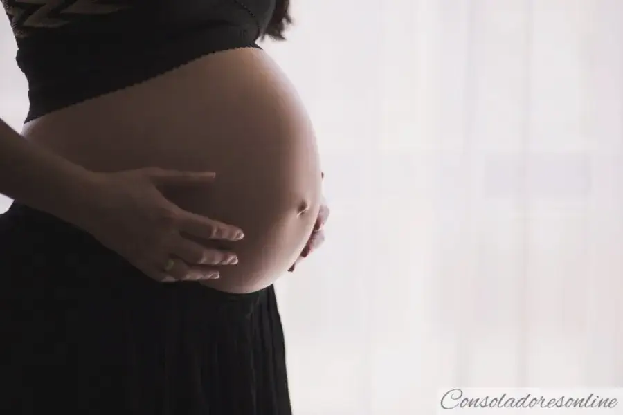 Fetiche de embarazo o gravidofilia